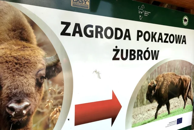 Zagroda Żubrów w Mucznem — Muczne