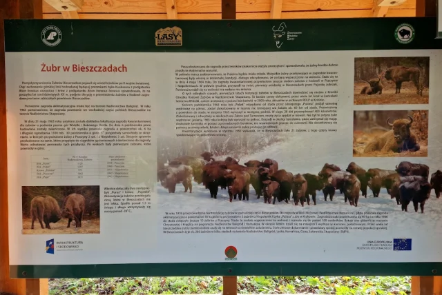 Zagroda Żubrów w Mucznem — Muczne