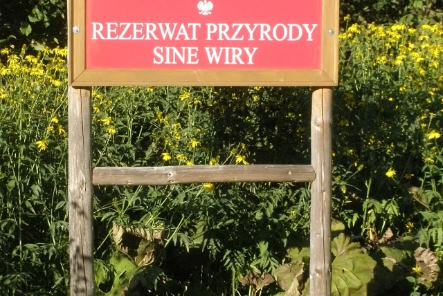 Sine Wiry — Kalnica