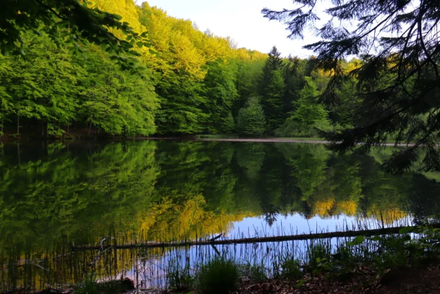 Jeziorka Duszatyńskie — Duszatyn