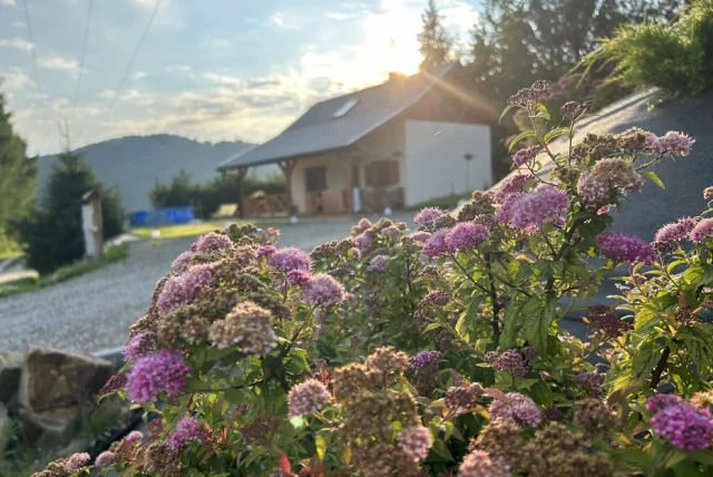 Domki do wynajęcia Bieszczady z banią na wyłączność — Wołkowyja