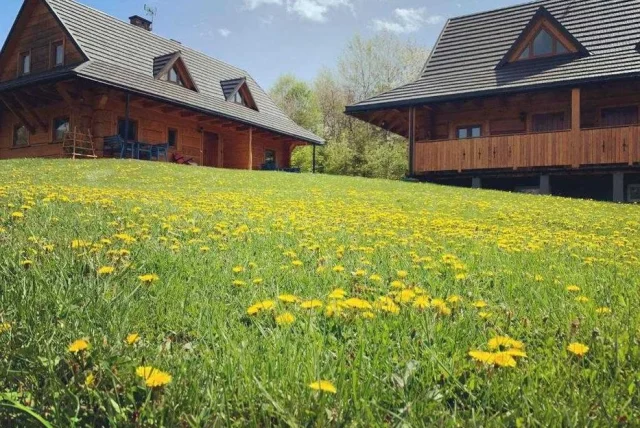 Domki Bieszczady, Sauna, Balia, Basen, Jacuzzi — Ustrzyki Dolne