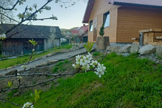 Całoroczny Domek Bieszczady ruska bania (wolne terminy) — Hoczew