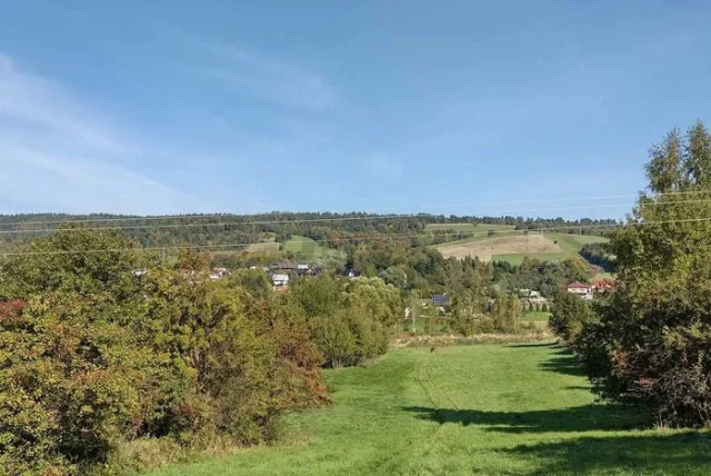 Domki domek Brzozówka Bieszczady (dwa domki-kominek+sauna zew., grill) — Ustrzyki Dolne