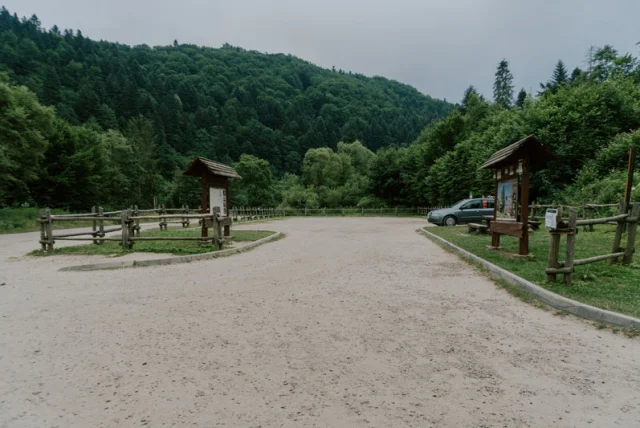 Sine Wiry — Kalnica