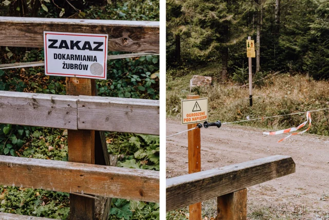 Zagroda Żubrów w Mucznem — Muczne